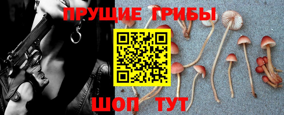что такое наркотик  Вход с VPN  Камень-на-Оби  Галлюциногенные грибы мицелий 