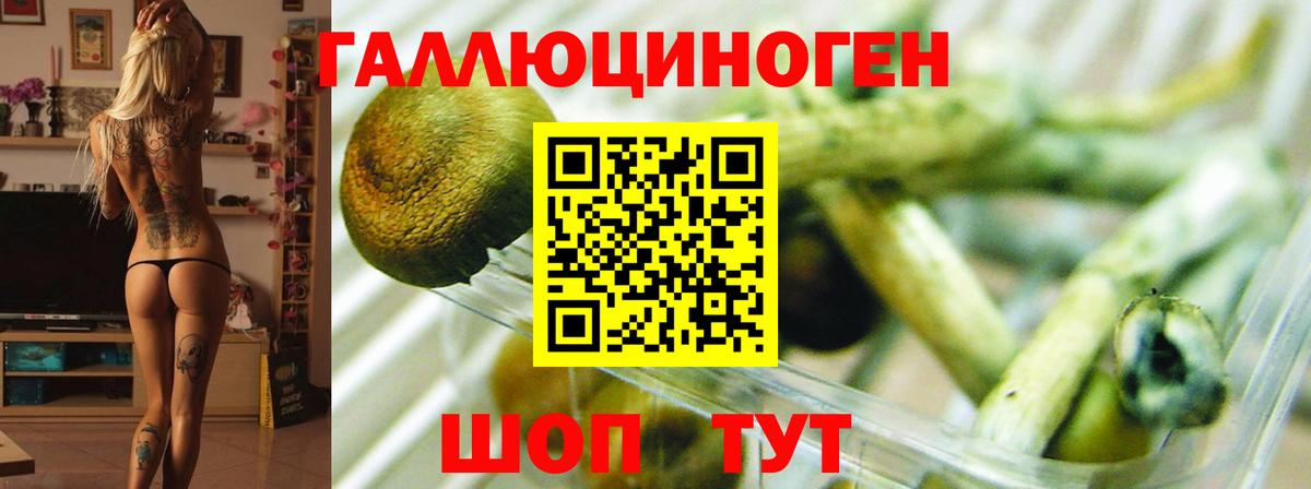 Псилоцибиновые грибы Magic Shrooms Камень-на-Оби